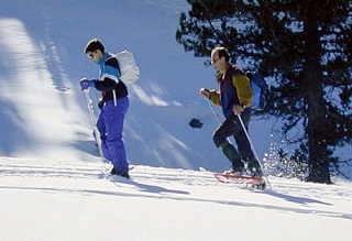las raquetas de nieve